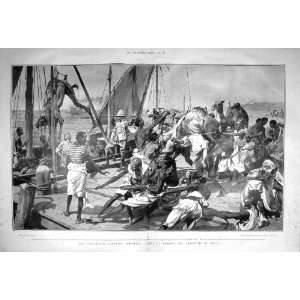    1903 SOMALILAND SHIPPING CAMELS BERBERA SHIP OBBIA