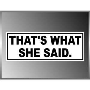  Thats What She Said Funny Vinyl Decal Bumper Sticker 3 X 