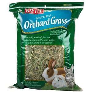  Kaytee Orchard Grass (Quantity of 4) Health & Personal 