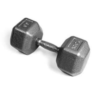  Pro Hex Dumbbell with Cast Ergo Handle   Grey 65 lb 