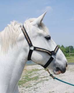 Amish made draft horse decorative halter BLACK Beauty  