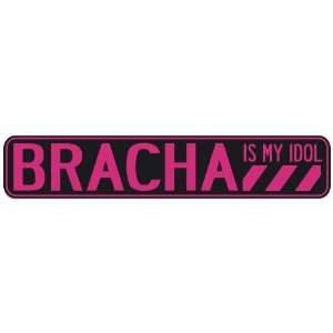   BRACHA IS MY IDOL  STREET SIGN