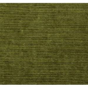  3448 Tasman in Grass by Pindler Fabric