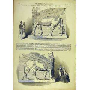  Nimroud Sculpture Museum Human Head Lion Bull 1850
