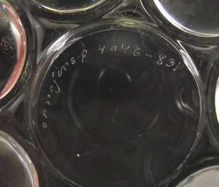   Art Glass Bubble Bowl by Sven Palmqvist~Sweden~Palmquist (&)  