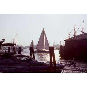 Sailboat at Newport, Newport, Rhode Island by Julie Stalzer  