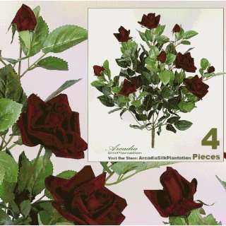   of 22 Velvet Rose Bushes _ Dark Red 