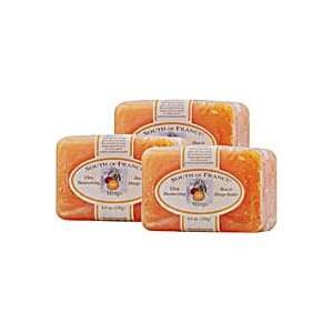 South of France Shea and Mango Butter Bar Soap    8.8 oz Each / Pack 