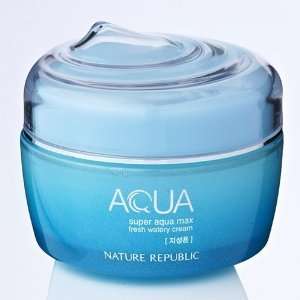    Nature Republic Super Aqua Max Fresh Watery Cream 80ml Beauty