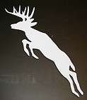 buck decal color  
