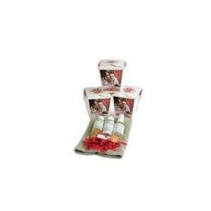  EcoWellPet Dog Spa Take Out Set   Peppermint