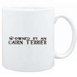    Mug White  OWNED BY Cairn Terrier  Dogs