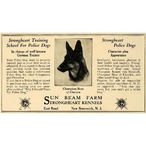   Sun Beam Farm Strongheart Kennels   Original Print Ad