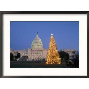  View of the National Christmas Tree standing before the Capitol 