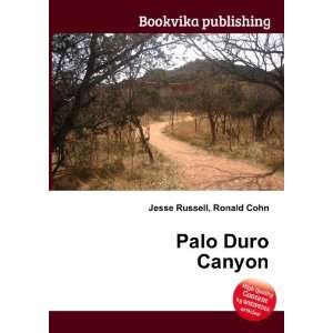  Palo Duro Canyon Ronald Cohn Jesse Russell Books