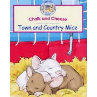 Chalk and Cheese Town and Country Mice (RSPCA Perfect Pets) by Gordon 