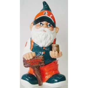    Miami Dolphins Official NFL Good Luck Gnome Bank