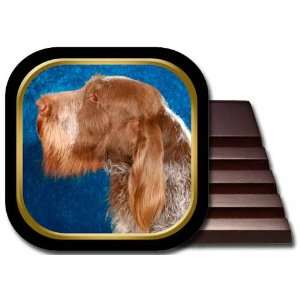  Spinone Italiano Coaster Set