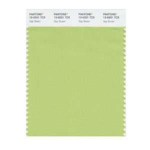  PANTONE SMART 13 0331X Color Swatch Card, Sap Green