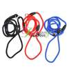 Pet Dog training use p rope Collar Leash Strap 0.8cm  