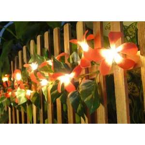   Frangipani Flower Party String Lights (20/set)