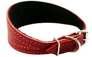 Red Greyhound Leather Dog Collar 13 16 Studs Padded  