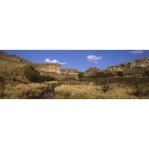   Park, Clarens, South Africa by Panoramic Images , 24x8