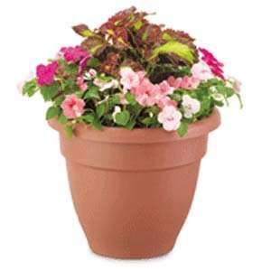  Caribbean Pot Clay 20.00 Akro 6/cs Patio, Lawn & Garden