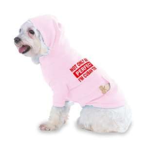   TOO Hooded (Hoody) T Shirt with pocket for your Dog or Cat Size SMALL