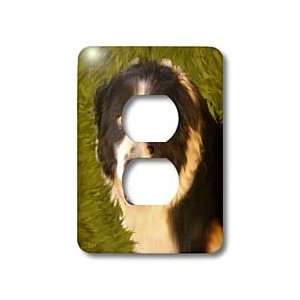  Doreen Erhardt Dogs   Border Collie   Light Switch Covers 