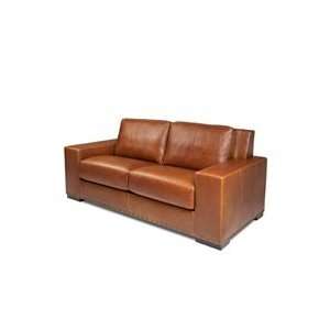  Tolle Comfort Sleeper by American Leather   Sleeper Sofas 