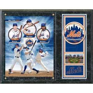  New York Mets Triple Play 2011 15x12 Plaque Sports 