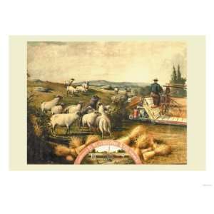    Sheep with Grain Binder Giclee Poster Print, 32x24