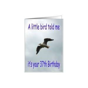  Happy 37th Birthday Flying Seagull bird Card Toys & Games
