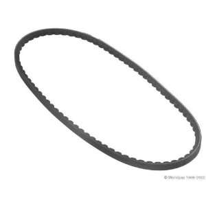  Conti W1002 27623   V Belt Automotive