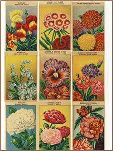 Vintage French Flower Seed Labels 24 Different (Set 1)  