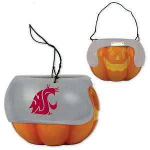 BSS   Washington State Cougars NCAA Halloween Pumpkin Candy Bucket (5 