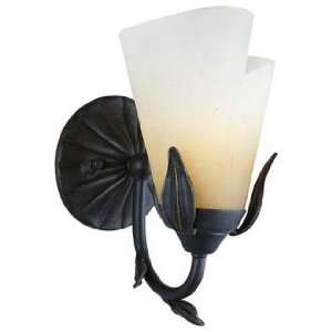  Las Cruces Collection Quoizel 10 High Wall Sconce