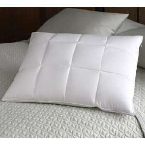  Choice Comfort Pillow