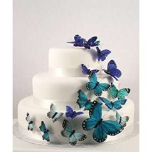    Beautiful Butterfly Cake Sets   Something Blue