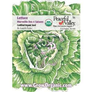  Organic Lettuce Seed Pack, Merveille Des 4 Saisons Patio 