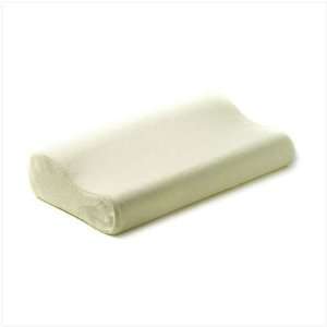 Space Age Memory Foam Pillow   Discount Gifts 4 Less 