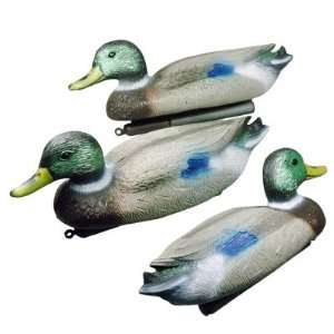   Drake Mallard Dabbling Duck Decoys w/ Weighted Keels 