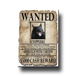  Schipperke Wanted Fridge Magnet 