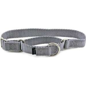  Premier Collar, Extra Large 1 Inch, Silver