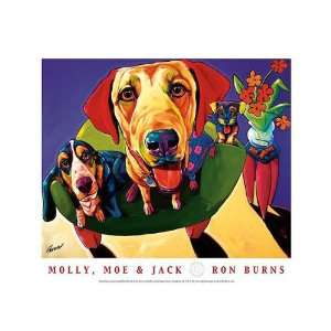  Molly, Moe & Jack