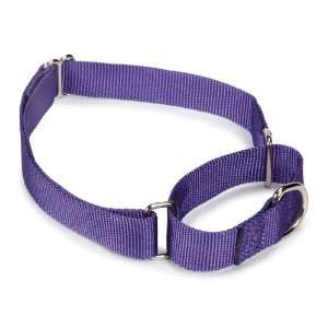  Guardian Gear Nylon Martingale Dog Collar, 14 to 20 Inch 