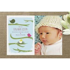 Family Tree Birth Announcements