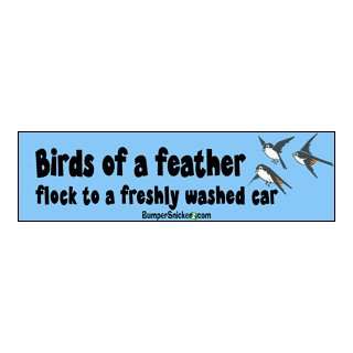   feather flock to a freshly washed car   Refrigerator Magnets 7x2 in