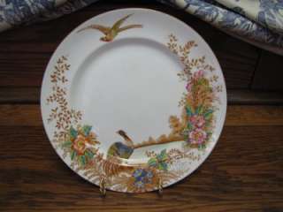 Sutherland English China Exotic Plate  
